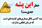 خطر پشه آئدس جدی است