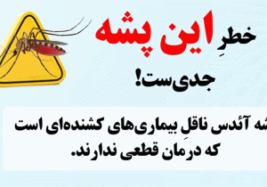 خطر پشه آئدس جدی است