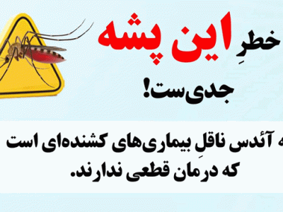 خطر پشه آئدس جدی است