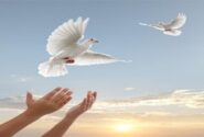 آزادی ۸۸ زندانی نیازمند در استان البرز