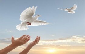 آزادی 603 زندانی البرزی در بازدید مقامات قضائی از ندامتگاه مرکزی کرج