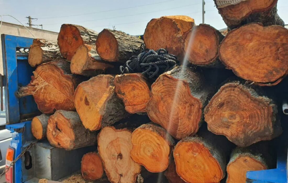توقیف محموله چوب آلات جنگلی قاچاق در آزادراه غدیر