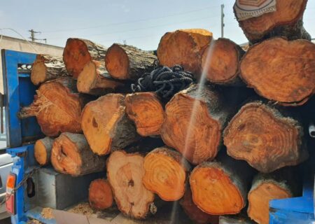 توقیف محموله چوب آلات جنگلی قاچاق در آزادراه غدیر