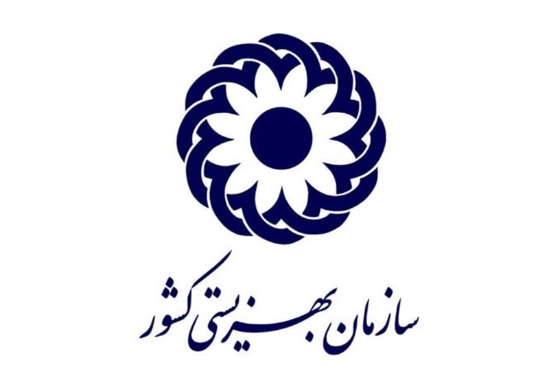 سازمان بهزیستی به تنهایی می‌تواند یک وزارتخانه باشد