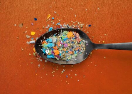 ریزپلاستیک‌ها؛ قاتل خاموش سلامت نسل‌ها