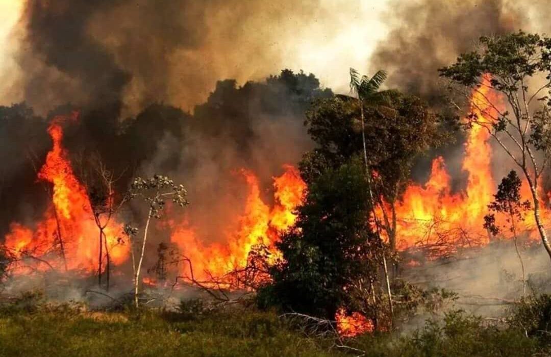 کرج در کنار هیرکانی؛ اعزام نیروهای آتشنشانی کرج به دل بحران