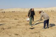 کاشت ۵ هزار اصله نهال لگجی در اشتهارد/ استفاده از گونه سازگار با اقلیم بیابانی