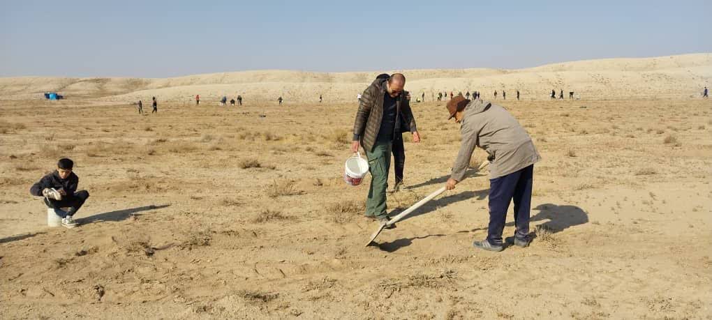 کاشت ۵ هزار اصله نهال لگجی در اشتهارد/ استفاده از گونه سازگار با اقلیم بیابانی