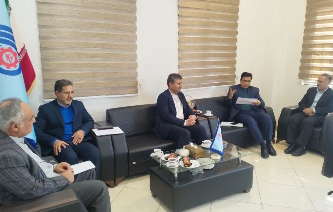 تاکید بر استفاده از ظرفیت مددجویان ماهر به عنوان استادکاران مهارتی