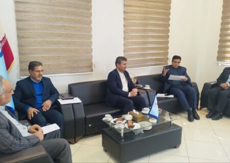 تاکید بر استفاده از ظرفیت مددجویان ماهر به عنوان استادکاران مهارتی