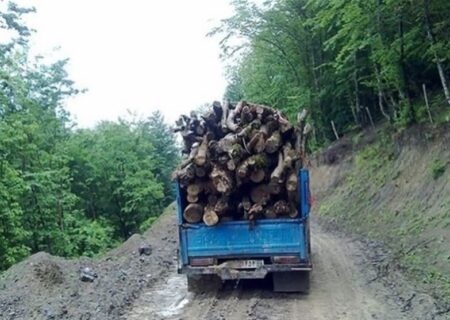 خودروی قاچاقچیان چوب در ساوجبلاغ توقیف شد
