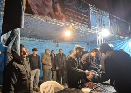 فعالیت هدفمند مواکب عتبات عالیات البرز در مراسم سوگواری رهبر معظم انقلاب
