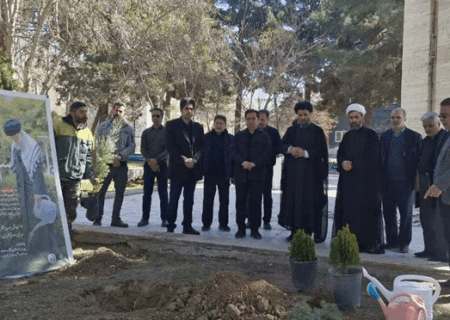 پویش «به یاد سرو، به نام ایران» در نظرآباد اجرا شد