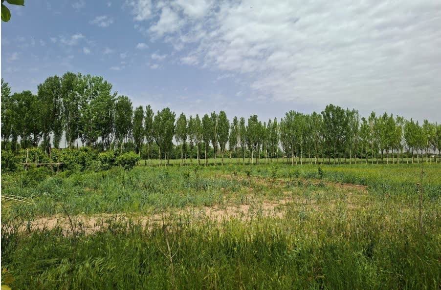 گام البرز برای صنعت سبز و حفاظت از آب شیرین