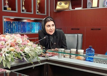 پرونده‌های خانواده، پرخطرترین میدان وکلا/ ضرورت توجه به امنیت جامعه وکالت