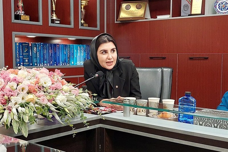پرونده‌های خانواده، پرخطرترین میدان وکلا/ ضرورت توجه به امنیت جامعه وکالت