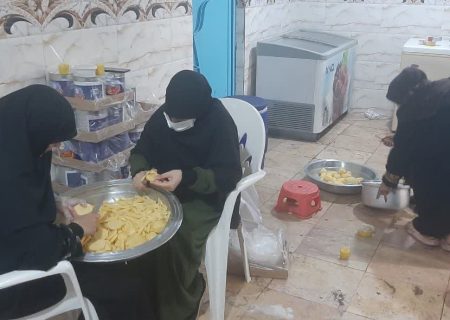 البرز پای کار قشم/ گروه‌های جهادی دانشجویی در مسیر خدمت