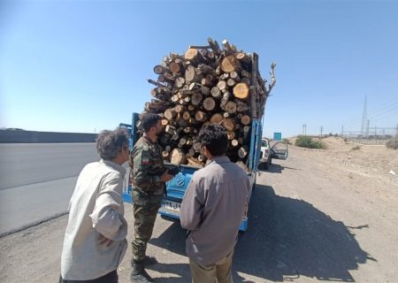 قاچاقچیان چوب در تور یگان حفاظت منابع طبیعی ساوجبلاغ