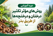 کارگاه تخصصی تکثیر درختان و درختچه‌ها از طریق بذر