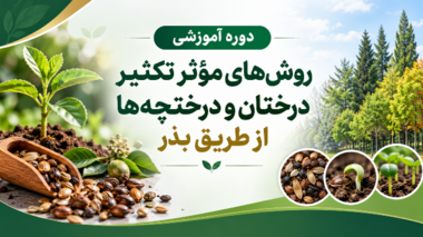 کارگاه تخصصی تکثیر درختان و درختچه‌ها از طریق بذر